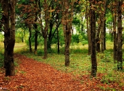 雷火电竞官网-慈善世纪战，国米主场迎战巴拉圭联队，莱万戴帽诠释硬仗之王本色