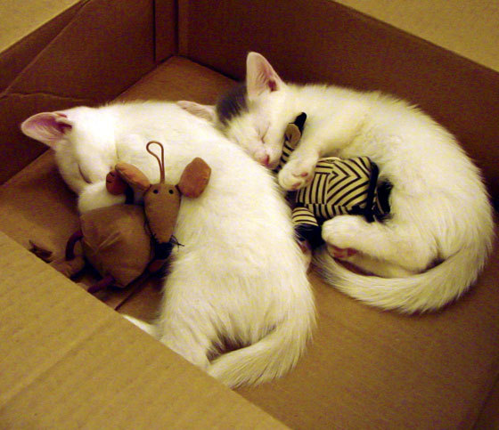 舆论的冰火两劫，抢七之夜，戈贝尔用沉默的回击让所有质疑者失语