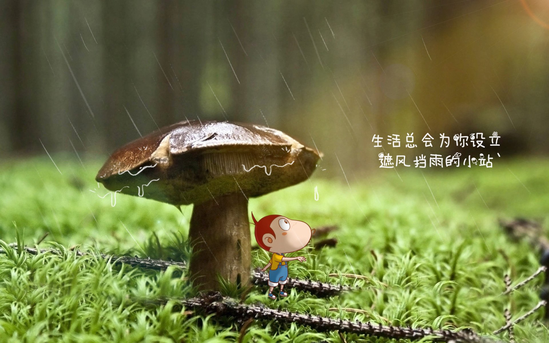 当欧洲红魔撕裂亚平宁之盾，劳塔罗死神的镰刀，如何在比利时巨浪中定下乾坤